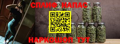 стаф Обнинск