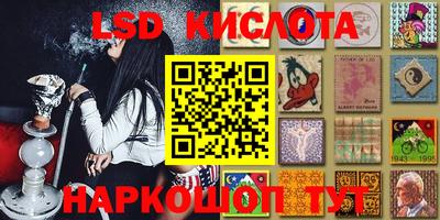 стаф Обнинск