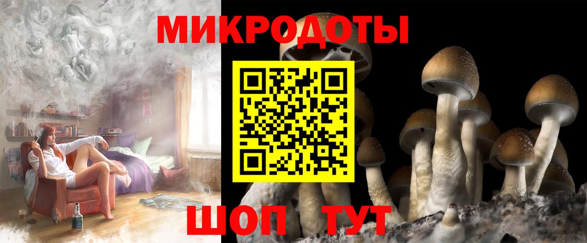 Галлюциногенные грибы MAGIC MUSHROOMS  Вход с VPN  Узловая 