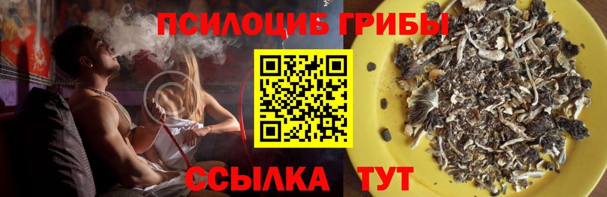 Галлюциногенные грибы Cubensis Узловая