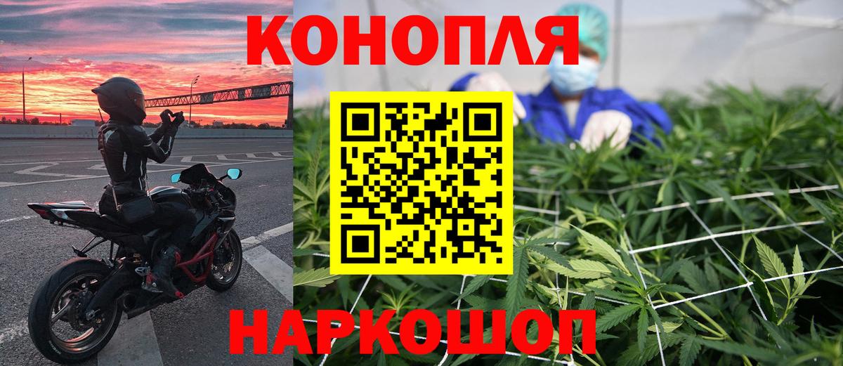 Марихуана семена Узловая